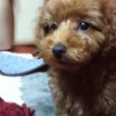 原田翔平 (@0920Shouhei) Twitter