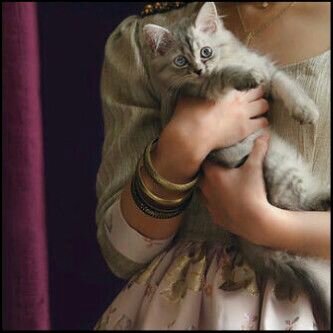 ربي اححفظهہ لي ♡