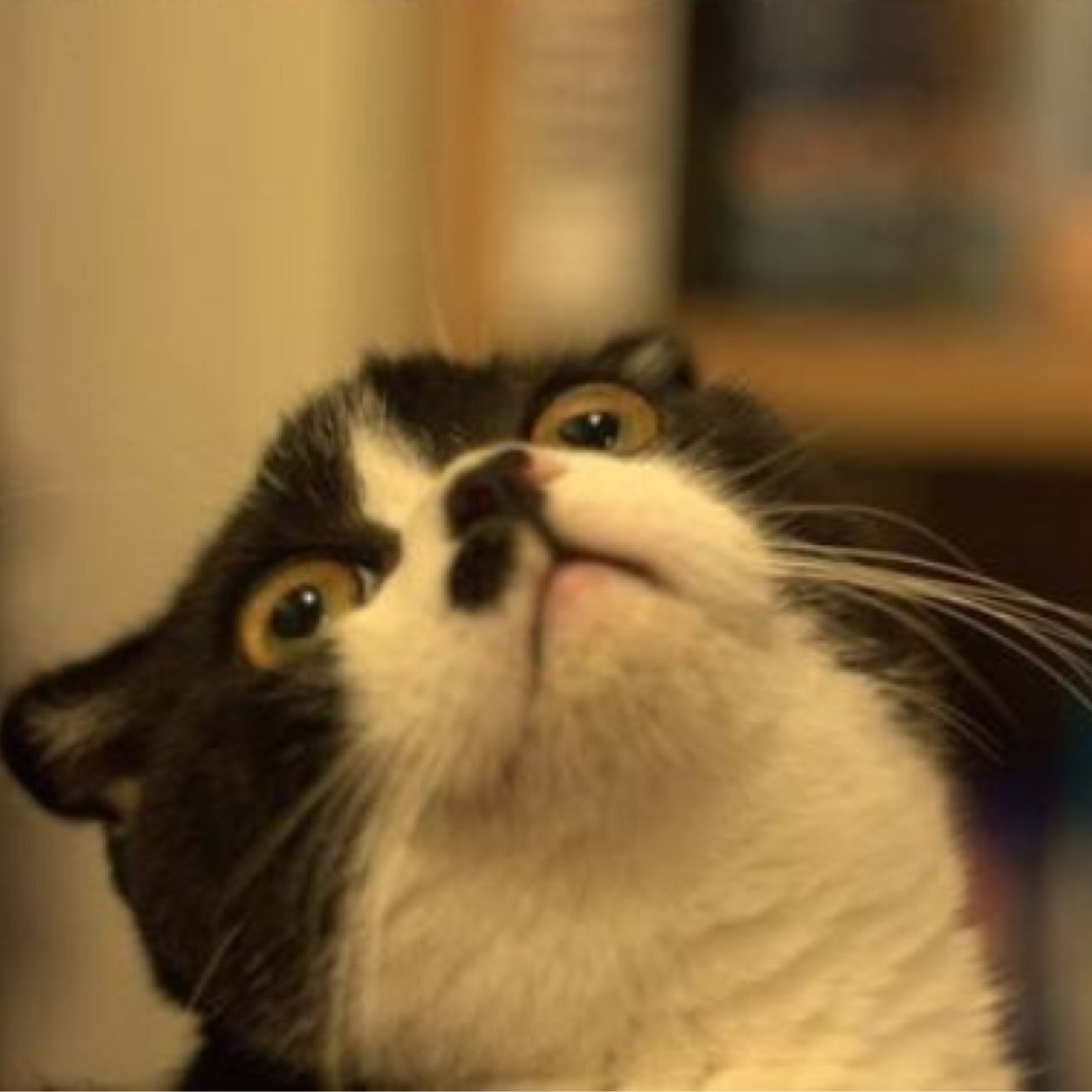 RETAIIN's profile picture. MLG Player