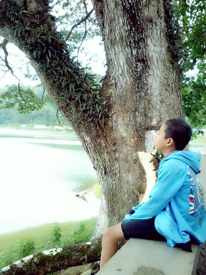[Anak Punk Cinta Damai™]