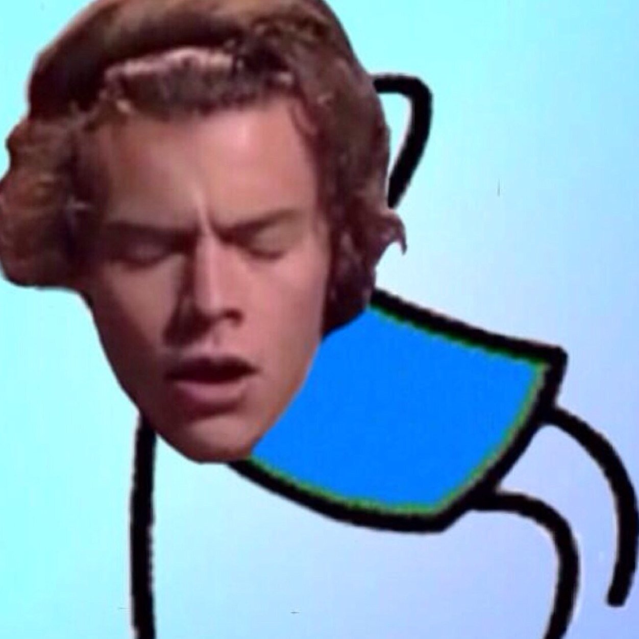 please don't follow this account, follow @_harryphotos and @horanisminee please :)