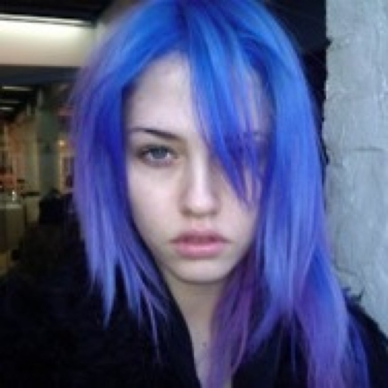 likecatslife Profile Picture