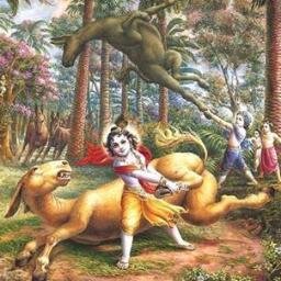 KajolRp's profile picture. 