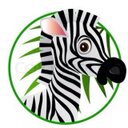 Frazer walker - @Lovesfishing - Twitter