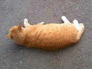 トゥボォにぃさん