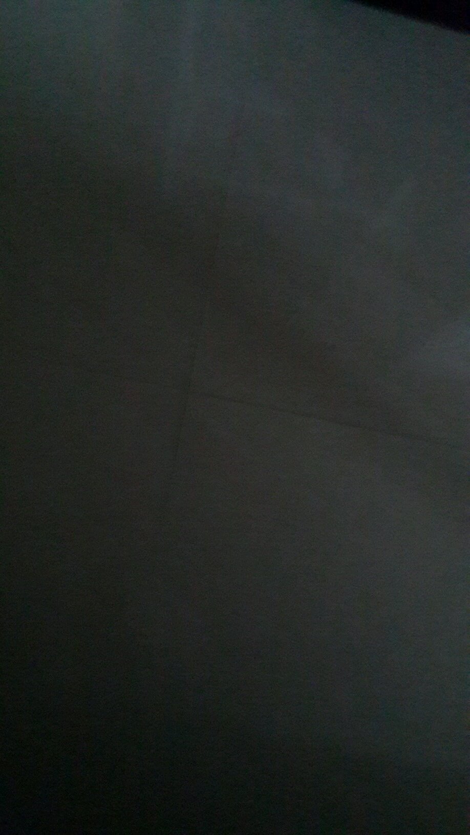 sha_dy's profile picture. 