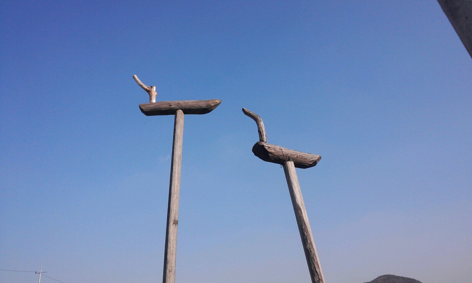 wegoto's profile picture. 본편적 상식이 통하고 그 바탕에 법과 제도가 만들어져야 한다.