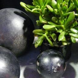 DessagoBlanco's profile picture. 