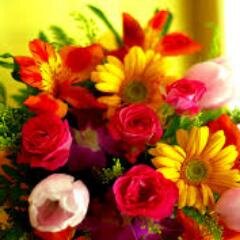 IkumarTani's profile picture. 