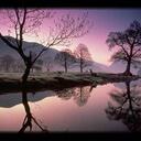 joshua ian elder - @joshuaianelder - Twitter