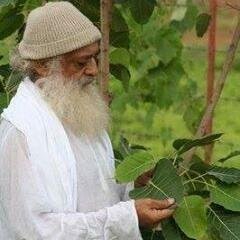 PiyushPia's profile picture. 