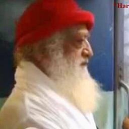 PiaraniP's profile picture. 