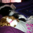 Jacqui Phillips - @AJacquiPhillips - Twitter