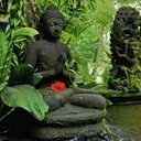 Jo Bingham - @Jo54505265 - Twitter