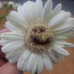 We're genuinely passionate about all things flowers!! From Weddings to Funerals & all that's inbetween.