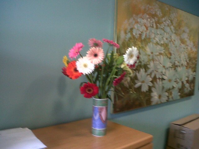 dundeefc007's profile picture. 