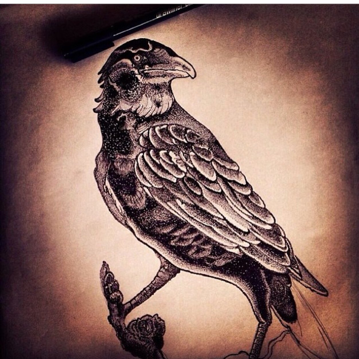 artiste en devenir...