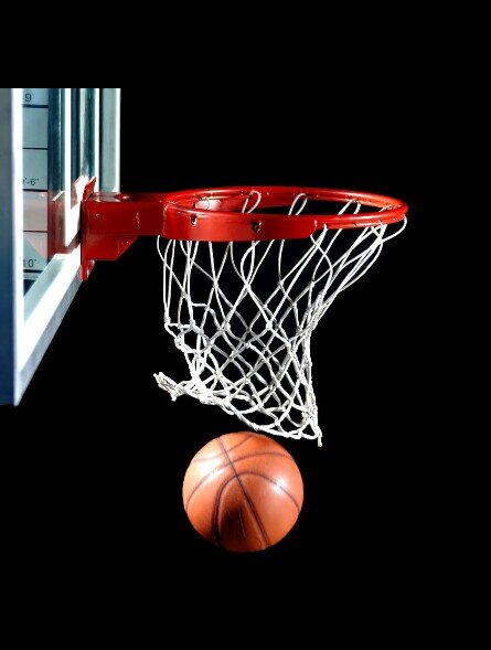 bucket_team101's profile picture. 