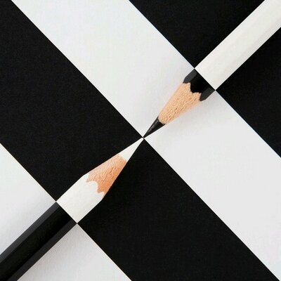 BlackWhite1010's profile image