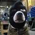 Perruno (@perrak471) Twitter profile photo