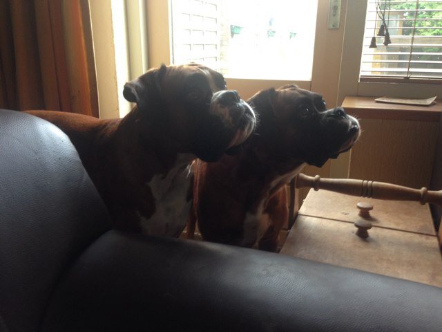 Inger69's profile picture. 