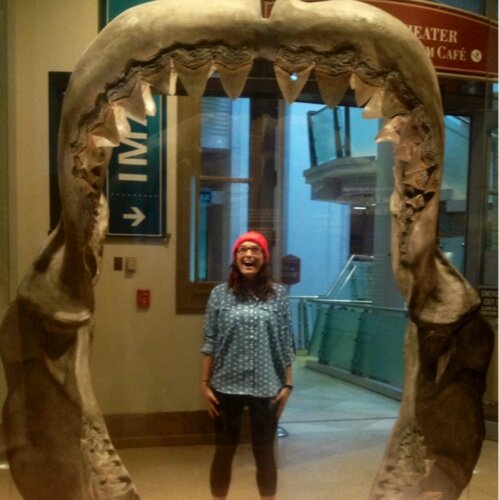 EmilyAnnNash's profile picture. 