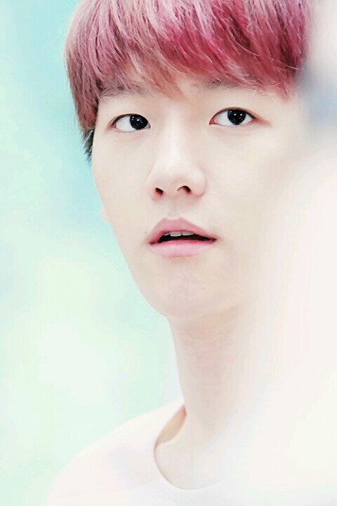 no need to follow this acc. Follow @kaiexogirls INSTEAD