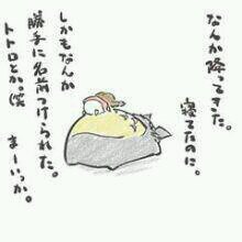 ジブリ/スタジオ地図/猫
H30 1月20日女の子出産👧