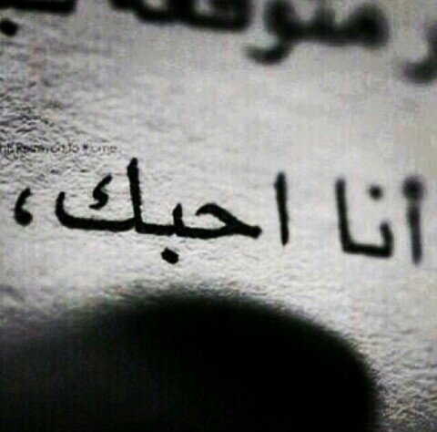 hamody053470's profile picture. 