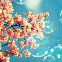 Amiina (@amiina_aa) 's Twitter Profile