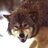 AnSanFer_Dr's profile image