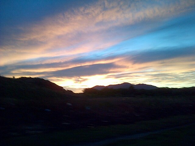 kikaccs's profile picture. 