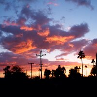 Brian van Adel (@drbvabrian) 's Twitter Profile