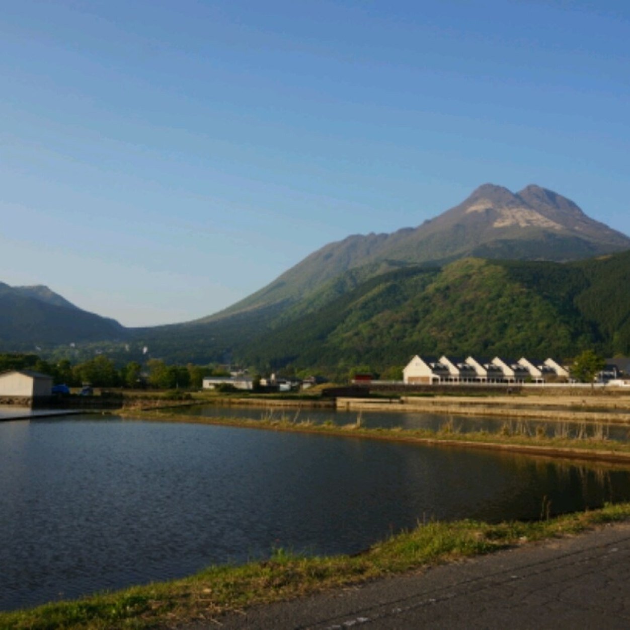 taro_fgp's profile picture. 