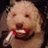clay_owens's profile image