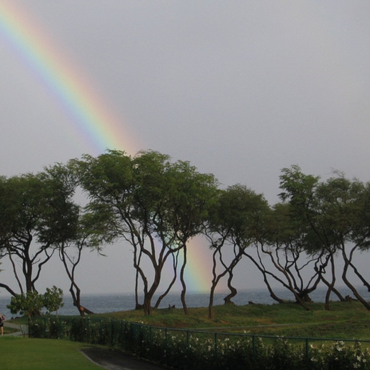 _learngrow's profile picture. 