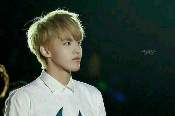 ฟอลฟรีค่ะ  รบกวนอ่านไบโอด้วยนะค่ะ @exokrispypopo