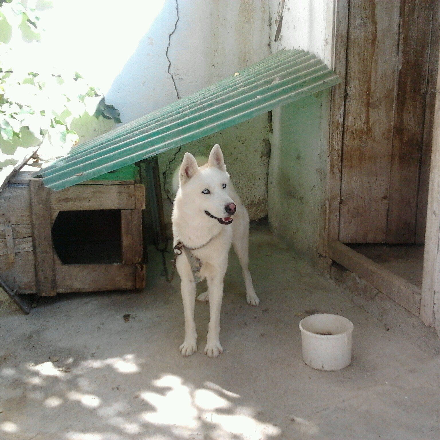 sedatkon's profile picture. can not get enough sex 私は日本人の女の子に愛を作りたい     my skype id sedatkon LINE ıd sedatkon  add me ladiess