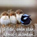 SİNAN (@0661_sinan) Twitter