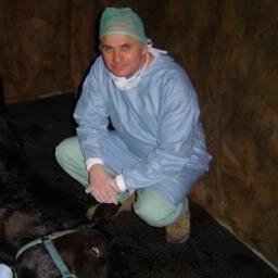 Médico Veterinario PhD Prof. Titular (J) UCLA |
Equine Medicine &
Large Animal Surgery |
Venezuela 🇻🇪🏇
📲+58 414 5307257