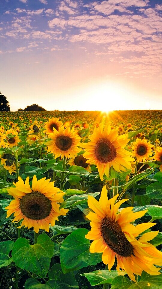 20ttdte14's profile picture. 音楽が好き　あと野球