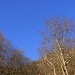 pincod11's profile picture. 