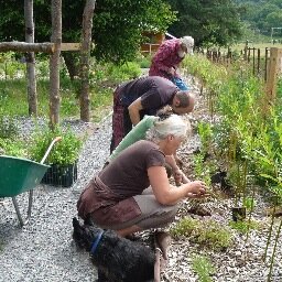 gerddibroddyfi's profile picture. 