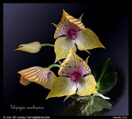 vip_thaimassage's profile picture. 