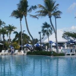 danalcarr's profile picture. 