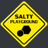Salty Playground