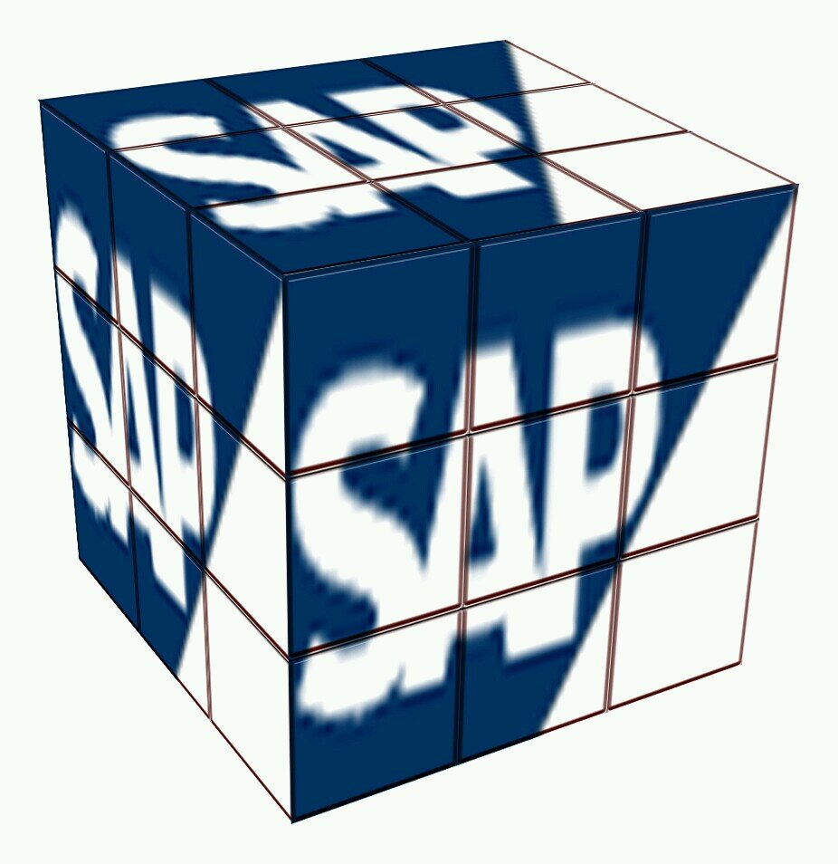 SAP Practice Manager for Technical Resource Group.  Solid experience in the functional, technical, and Basis aspect of SAP.  
All SAP all the time.