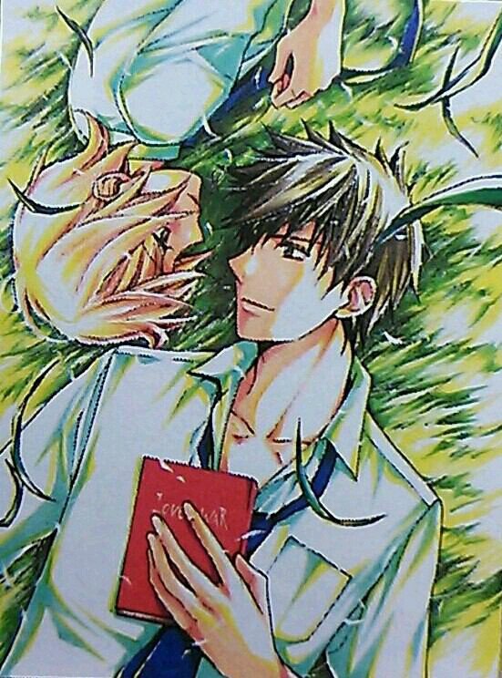 sakuhaさんのプロフィール画像