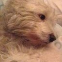 Suzanne Murphy - @Suzanne_Murphy7 - Twitter