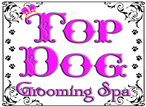 rareearthga's profile picture. Savannah's newest pet shop!  We are partnered wtih Top Dog Pet Salon and offer saltwater and freshwater fish, reptiles, small animals, grooming, and pet supply.